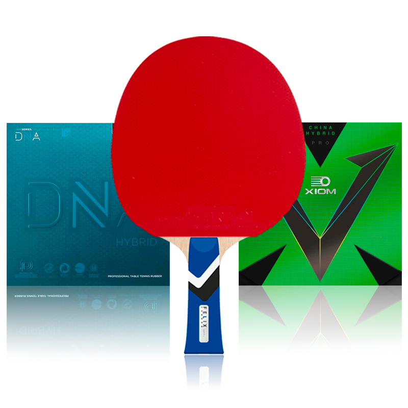 Tibhar Felix Lebrun OFF- / DNA Hybrid M / Vega Pro H